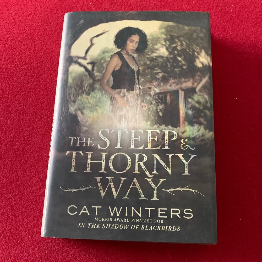 The Steep & Thorny Way by Cat Winters Hardcover NEW